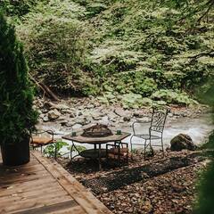 Глэмпинг и СПА Лес, Сочи, Краснодарский край