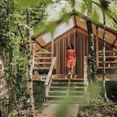 Глэмпинг и СПА Лес, Сочи, Краснодарский край