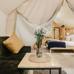 Глэмпинг и СПА Лес, Сочи, Краснодарский край