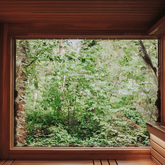 Глэмпинг и СПА Лес, Сочи, Краснодарский край