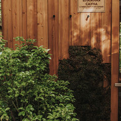 Глэмпинг и СПА Лес, Сочи, Краснодарский край