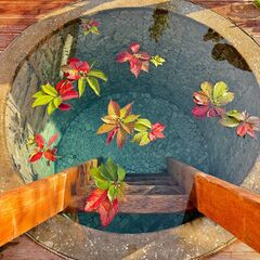 Парк-отель Таёжный, Московская область