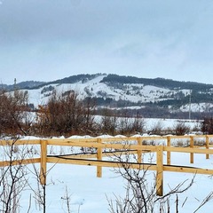 Коттедж Лайт 17, Саратовская область