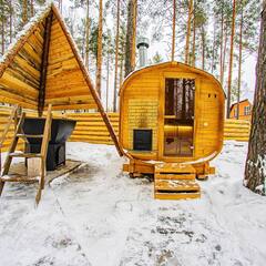 Вилла Вилла в сосновом лесу 2, Пензенская область