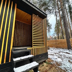 Вилла Вилла в сосновом лесу 2, Пензенская область