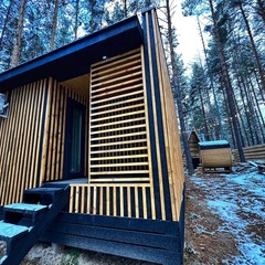 Вилла Вилла в сосновом лесу 2, Пензенская область