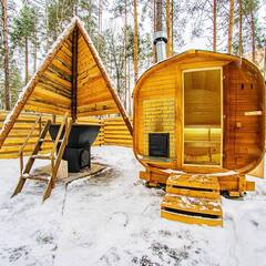 Вилла Вилла в сосновом лесу 2, Пензенская область