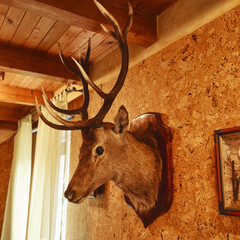 Гостевой дом Мушкино, Калининградская область