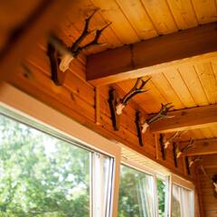 Гостевой дом Мушкино, Калининградская область