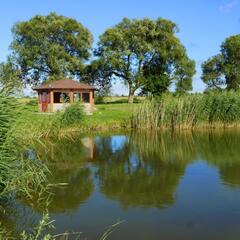 Гостевой дом Мушкино, Калининградская область