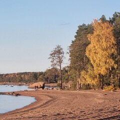 Гостевой дом Олта, Ленинградская область