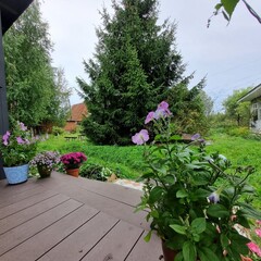 Гостевой дом Олта, Ленинградская область