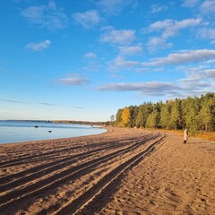 Гостевой дом Олта, Ленинградская область
