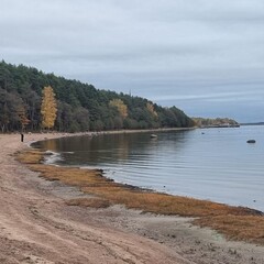 Гостевой дом Олта, Ленинградская область