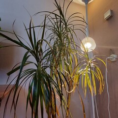 Гостевой дом Олта, Ленинградская область