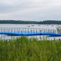 Парк-отель Басовское, Тверская область