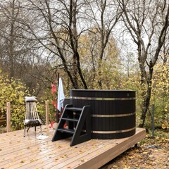 Гостевой дом Chalet Forest, Московская область