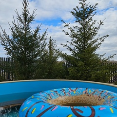 Глэмпинг Елки глэмп 64, Саратовская область