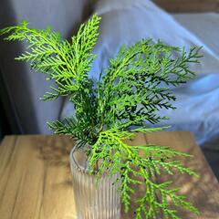 Гостиница Alra Eco Village, Очамчыра