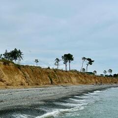 Гостиница Alra Eco Village, Очамчыра