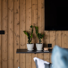 Дом в Сорочанах №3 Рябина, Московская область