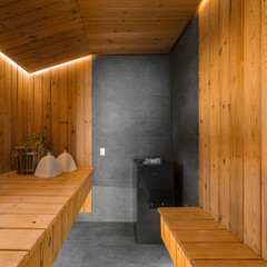 Дом в Сорочанах №4 Черемуха, Московская область