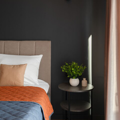 Дом в Сорочанах №4 Черемуха, Московская область