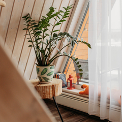 Гостевой дом Лиса в шалаше, Ленинградская область