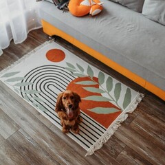 Гостевой дом Лиса в шалаше, Ленинградская область