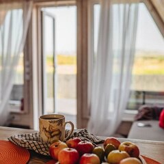 Гостевой дом Лиса в шалаше, Ленинградская область