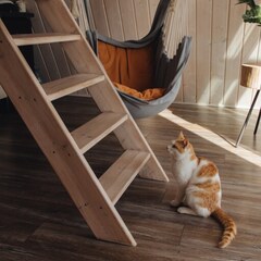 Гостевой дом Лиса в шалаше, Ленинградская область