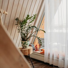 Гостевой дом Лиса в шалаше, Ленинградская область