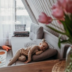 Гостевой дом Лиса в шалаше, Ленинградская область