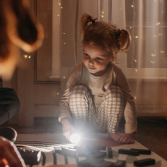 Гостевой дом Лиса в шалаше, Ленинградская область