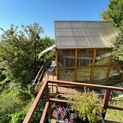 Глэмпинг Оранжереи, Сочи, Краснодарский край