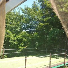 Глэмпинг Оранжереи, Сочи, Краснодарский край