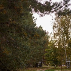 База отдыха Порзамка, Владимирская область