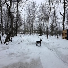 Глэмпинг Панты, Свердловская область