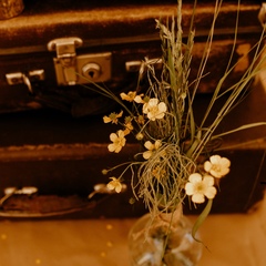 Глэмпинг FamilyGlamp Куликово поле, Липецкая область