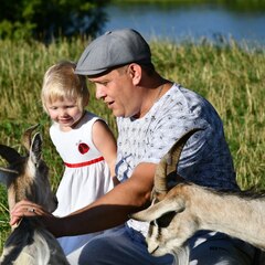 Глэмпинг FamilyGlamp Куликово поле, Липецкая область