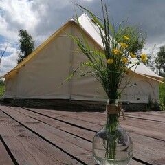 Глэмпинг FamilyGlamp Куликово поле, Липецкая область