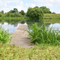 Глэмпинг FamilyGlamp Куликово поле, Липецкая область