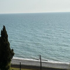 Гостевой дом Дежавю, Сочи, Краснодарский край