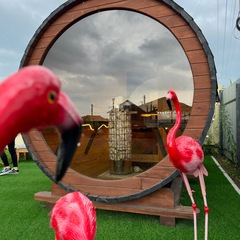 Глэмпинг Не тот лес, Хабаровский край