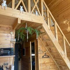 Глэмпинг Не тот лес, Хабаровский край