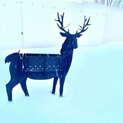 Глэмпинг Не тот лес, Хабаровский край