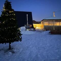 Глэмпинг Не тот лес, Хабаровский край