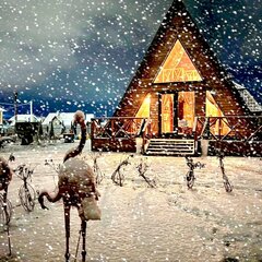 Глэмпинг Не тот лес, Хабаровский край