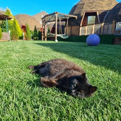 Глэмпинг АтмосфЭра, Анапа, Краснодарский край