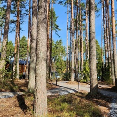 База отдыха Land Breeze, Ленинградская область